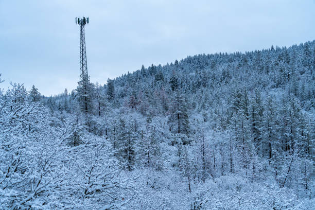 Cell Tower on Snowy Day. Oregon, Ashland, Cascade Siskiyou National Monument, Winter