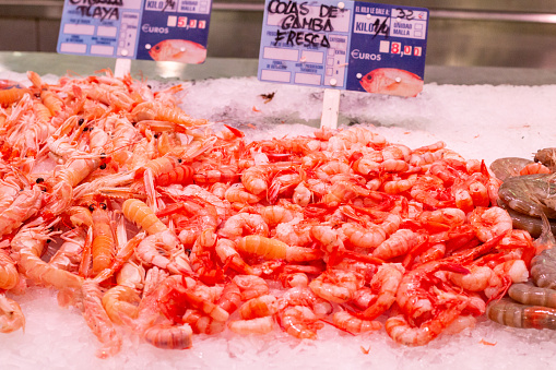 Shrimps at Mercado Central (Central Market) in Valencia, Spain, with illustrations of fish