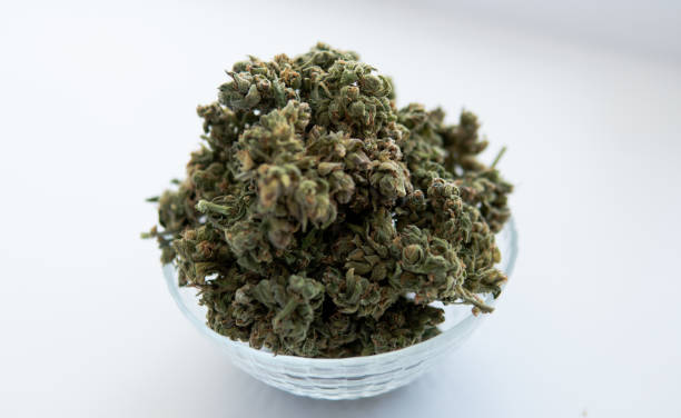 istock Macro photo of  marijuana buds. Medicinal elements in marijuana 1362944064