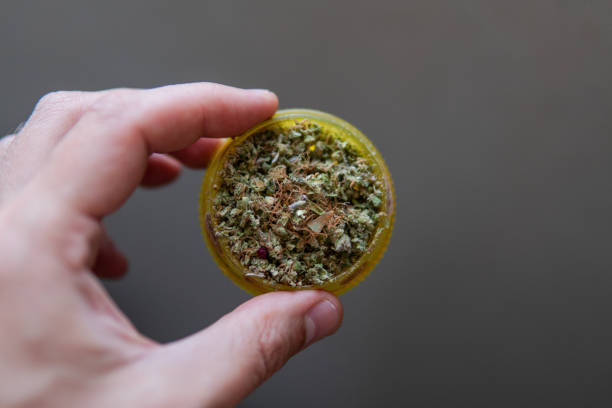 istock Macro photo of  marijuana buds. Medicinal elements in marijuana 1362944156