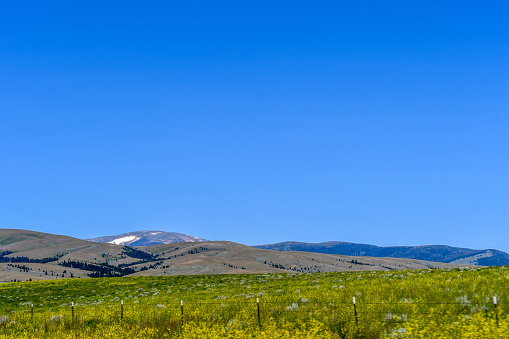Un paisaje con vistas al Bosque Nacional Helena, Montana photo