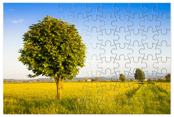 istock Isolated tree in a tuscany rural scene (Italy) - environmental conservation concept image in jigsaw puzzle shape 1362947489