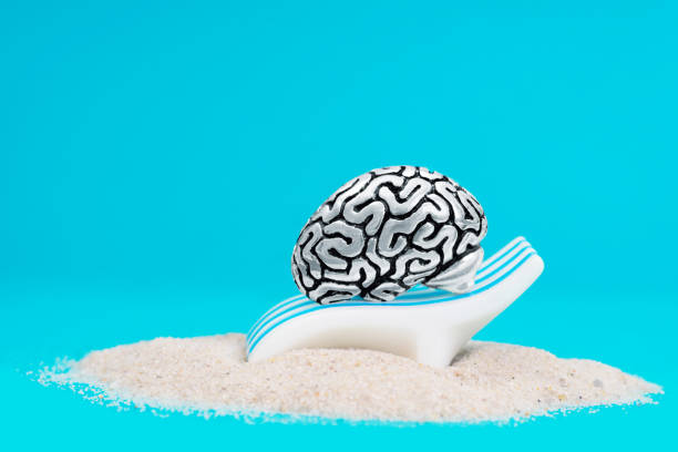 istock Human brain lying on a sunbed against blue background 1362947836