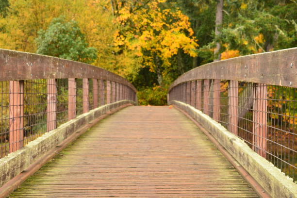 istock Footbridge At Tolmie State Park 1362949603