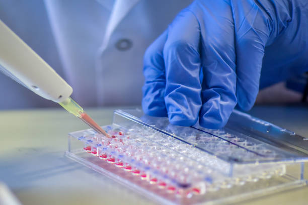 istock Setting up a ELISA assay in a 96 well plate 1362952043
