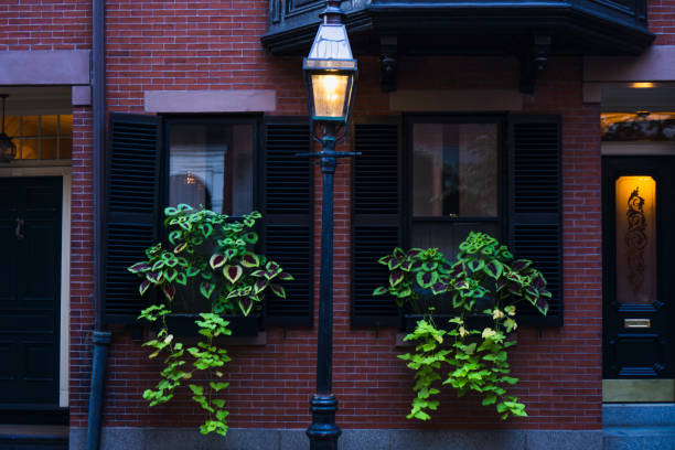 istock Big planters with various plants set against brick wall with windows and shutters 1362953662