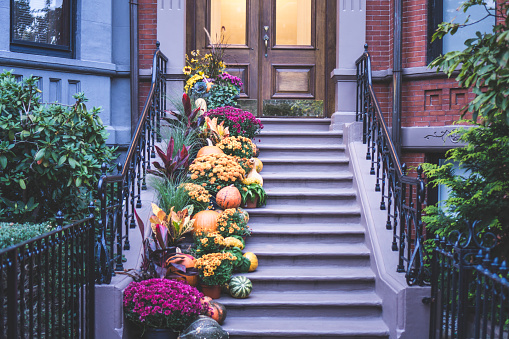 View of an entrance to apartment building. Stoop with plants, flowers and pumpkins for Thanksgiving Holiday