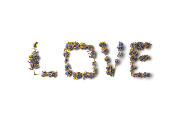 istock the word love from lavender twigs on a white background 1362954966