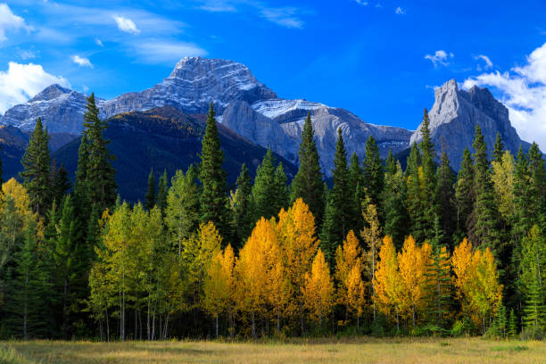 Mount Lougheed Kananaskis Country Canadian Rockies Alberta Mount Lougheed is a 3,107-metre (10,194-foot) triple-peak mountain located between Spray Lakes Reservoir and the Wind Valley of Kananaskis Country in the Canadian Rockies of Alberta, Canada. kananaskis country stock pictures, royalty-free photos & images