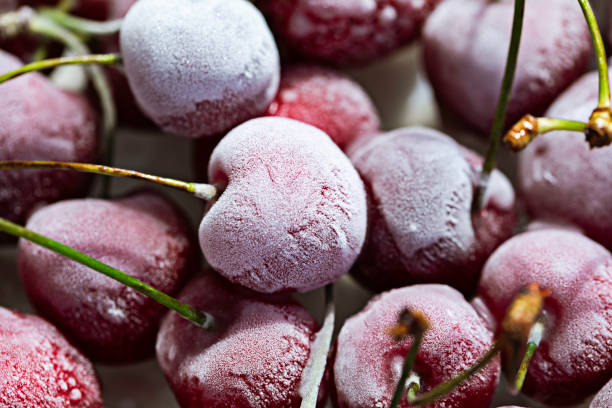 frutas congeladas - currant food photography color image - fotografias e filmes do acervo