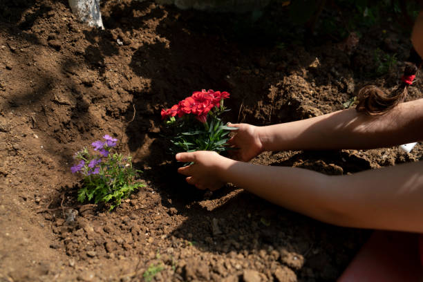 istock Planting Flowers Outside 1362962260