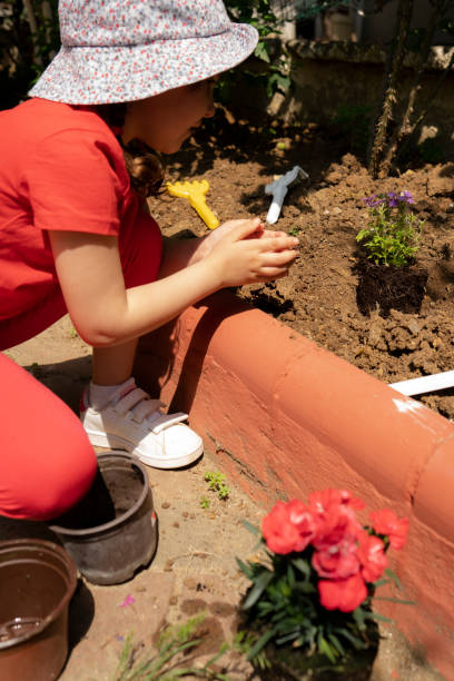 istock Planting Flowers Outside 1362962994