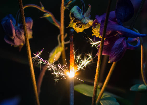 istock Flowers and sparkler 1362964213
