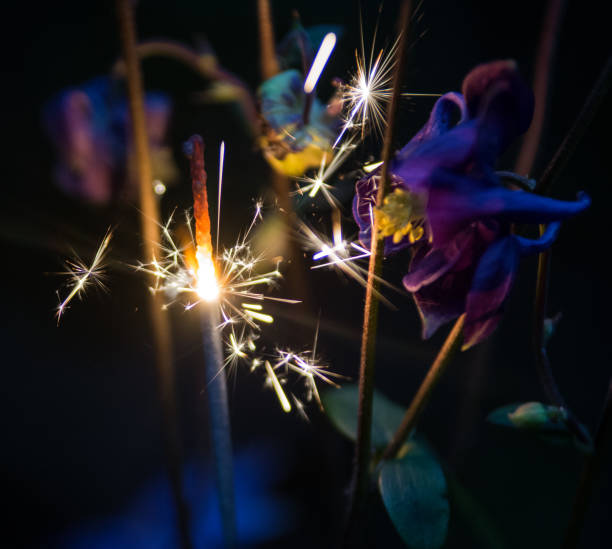istock Flowers and sparkler 1362964226