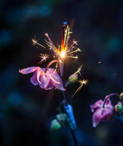 istock Flowers and sparklers 1362964289