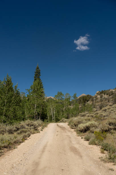 istock Blue Sky Over Dirt Road Entering Snake River Wilderness 1362969807