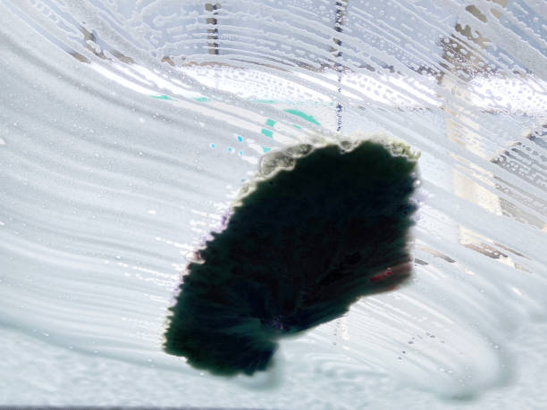 istock Car wash view from inside the car 1362969967