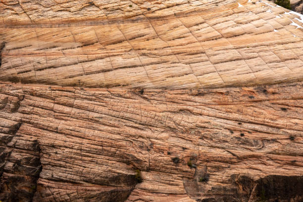 istock Eroded Wall Of Zion Canyon Texture 1362970112