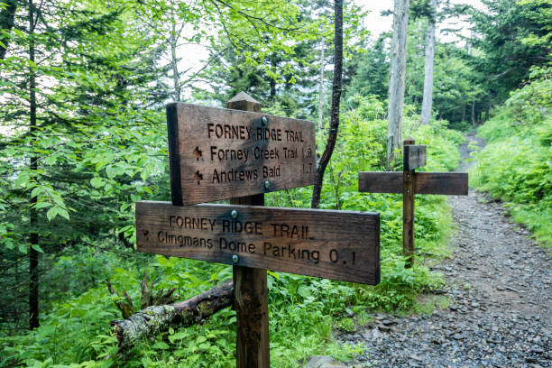 istock Forney Ridge Trail Signs 1362970233