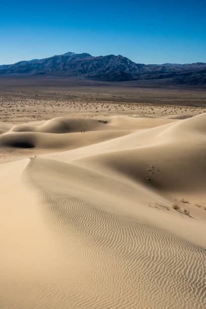 istock Hikers Begin to Ascend the Panamint Dunes In Death Valley 1362971017