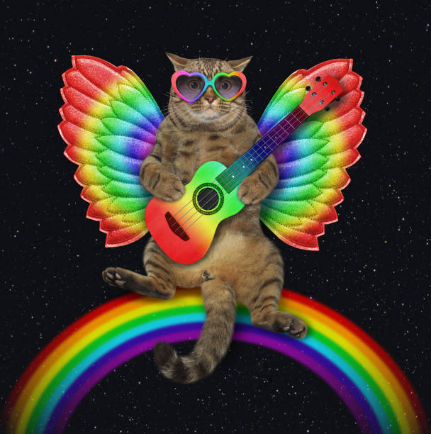 Cat with color wings play guitar on rainbow