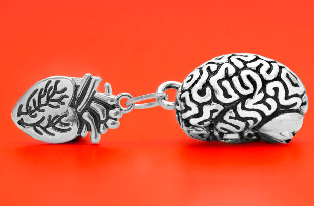 istock Human heart and brain link together on red 1362975576