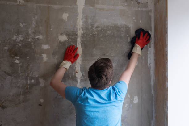 istock Caucasian man washing walls from dust using old rag 1362975610