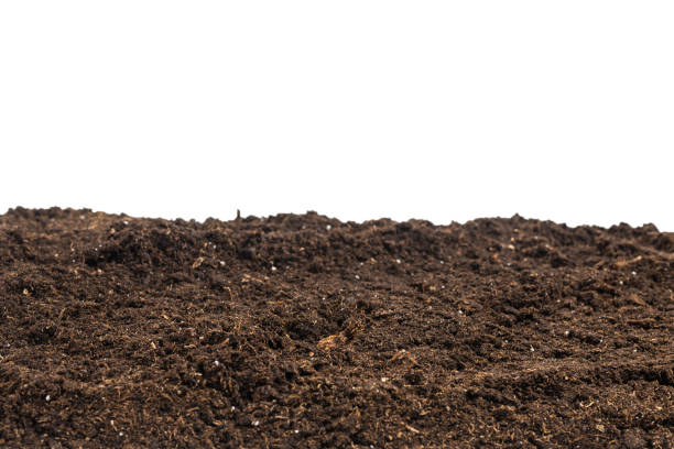 istock Soil for plant isolated on white background. 1362977438