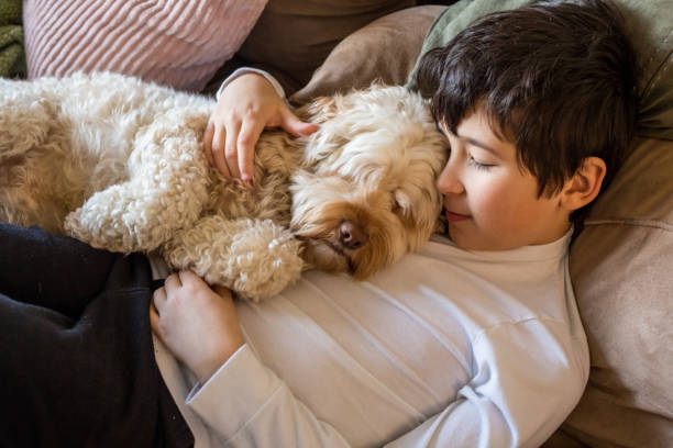 istock Little boy and his dog 1362980401