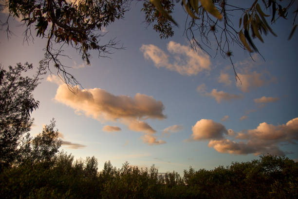 istock Multiple exposure composite of some cotton like clouds 1362980797