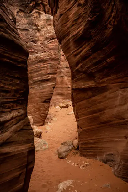 Photo of Smooth Zig Zagging Walls Of Wire Pass Slot Canyon