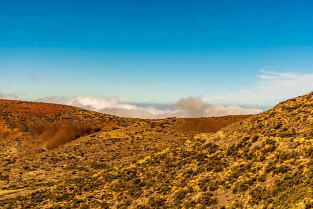 istock Landscape with vegetation and clouds in the Teide National Park 1362984790