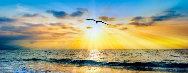istock Sunset Ocean Bird Silhouette Inspiration Banner 1362986640