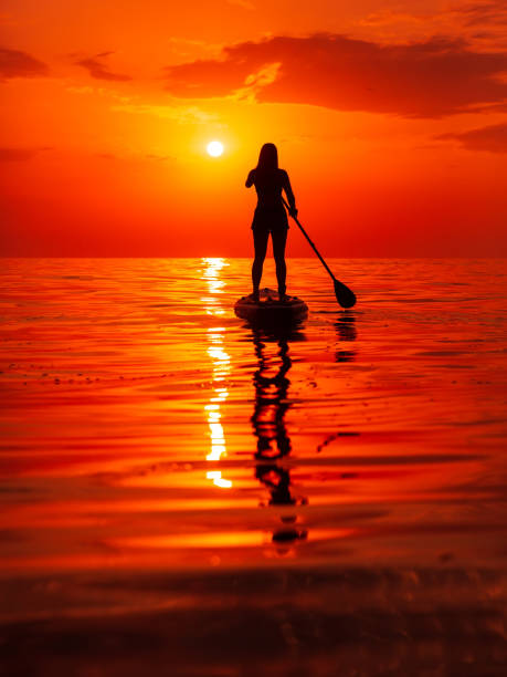 silhouette einer frau auf stand up paddle board auf ruhiger see mit sonnenuntergang oder sonnenaufgang. frau posiert auf sup-board und heller sonnenuntergang mit reflexion - editorial women paddleboard surfboard stock-fotos und bilder