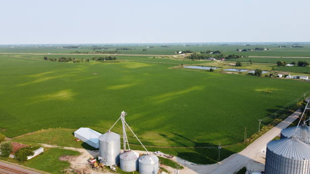 istock Seas of Grain 1362994306