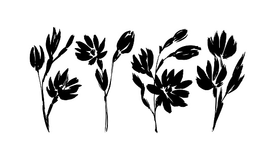 Vector set of ink drawing wild plants, small herbs or flowers on stems. Grunge style brush painting black flowers silhouettes. Botanical stencil. Chamomile, daisy, aster hand draw illustration.
