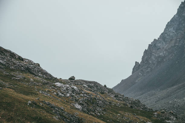 istock Atmospheric highlands landscape with narrow mountain valley and sharp rocks on steep slope under gray sky. Bleak mountain scenery with pointed rockies on mountainside and glen in overcast weather. 1363005771