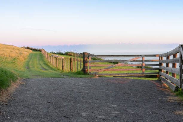 istock Walking tracks around Mount Maunganui provide range of options around and to summit 1363013677