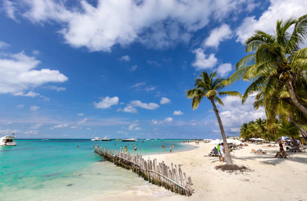 Serene turquoise Isla Mujeres beach Playa Norte famous for emerald waters, sandy sea shore and beach bars for fun and beach parties Serene turquoise Isla Mujeres beach Playa Norte famous for emerald waters, sandy sea shore and beach bars for fun and beach parties. isla mujeres stock pictures, royalty-free photos & images