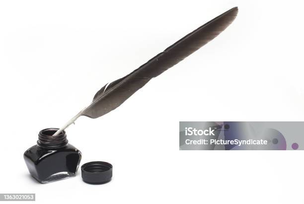Bird Feather Fountain Pen Inkwell White Background Stock Photo - Download Image Now - Ink Well, Feather, Old-fashioned