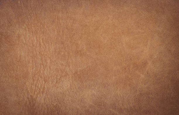 fond naturel de texture de cuir brun - leather photos et images de collection