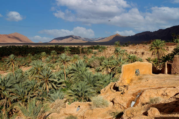 Palm grove of  Figuig in south-eastern Morocco