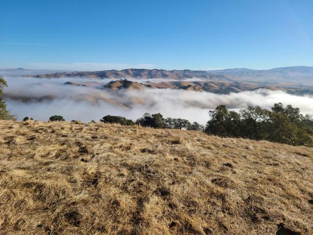 Photo of Fog over the California hills near San Francisco, California