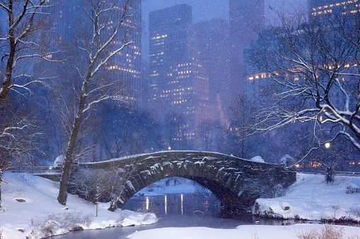 Classic New York City architecture overlooks Bryant Park after a fresh snowfall.