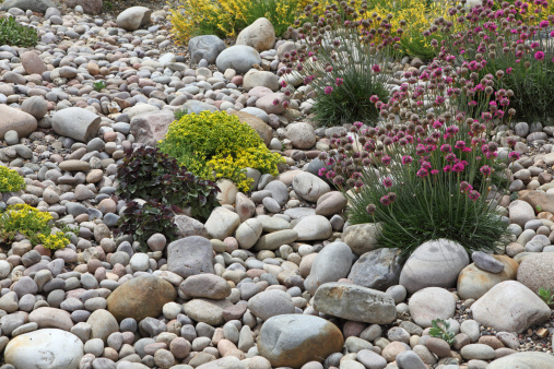 An urban rockery