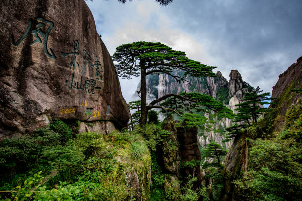 istock Beautifully Shaped Pines at Mount Huangshan 1363031678