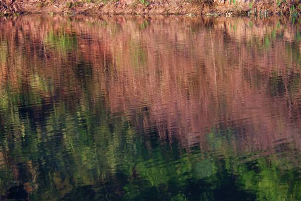 istock Blurred water surface with colorful reflection and shadow in lately every evening 1363038474