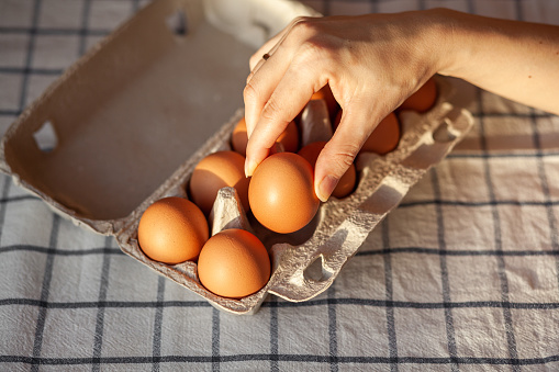 Chicken brown eggs are in a cardboard box bought at a grocery store. Healthy breakfast. A tray for carrying and storing fragile eggs. Woman takes one egg out of the package with her hand