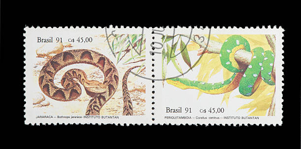 istock brazilian postage stamp, on black background. 136303967