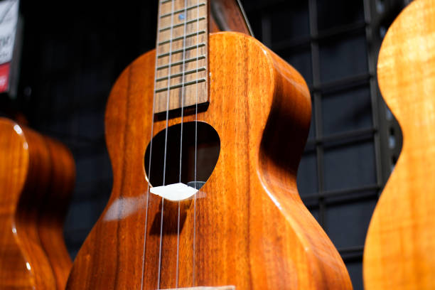 istock Ukulele and musical instrument image 1363039785